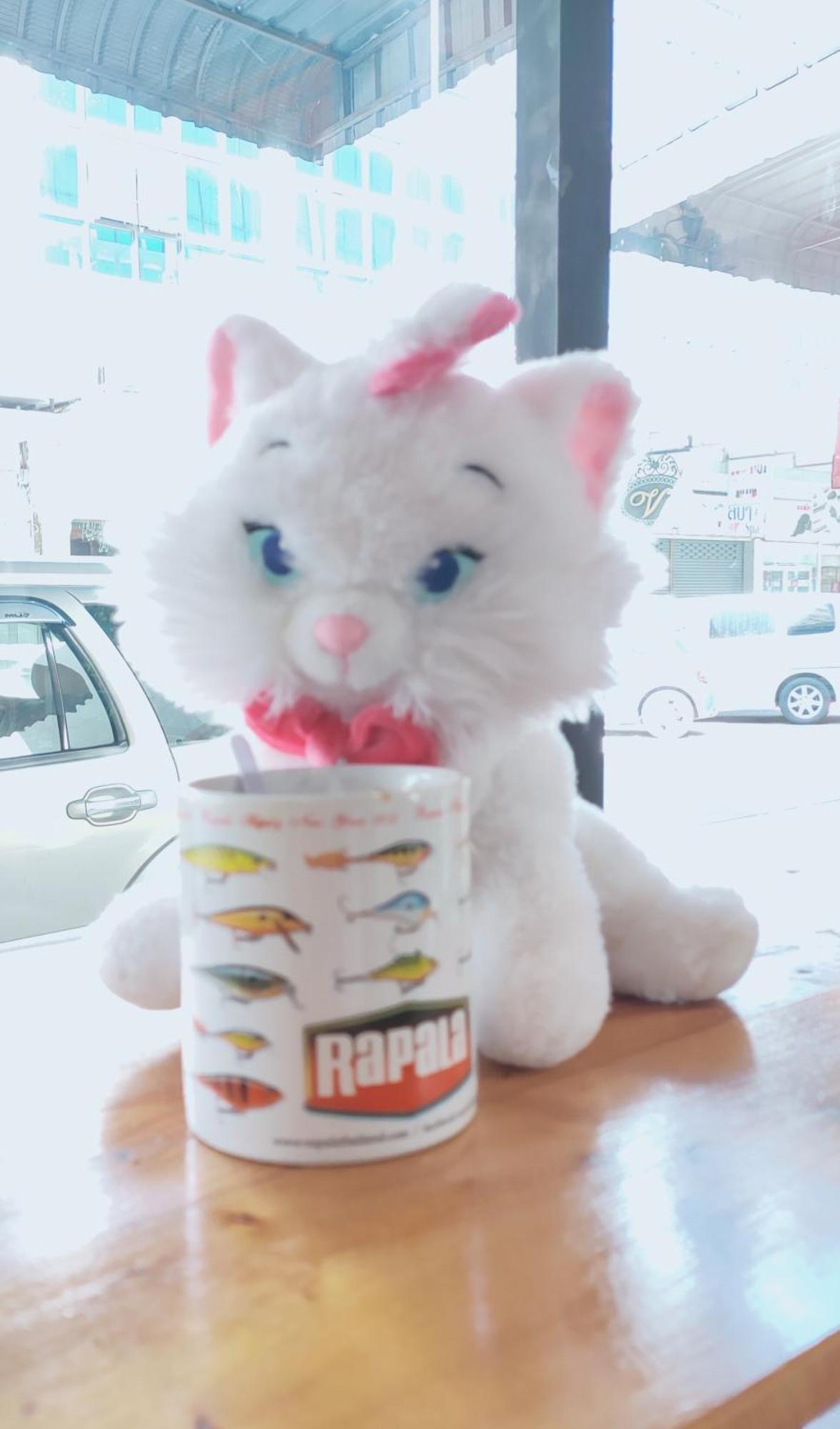 Sleepcatshostel Bangkok Bagian luar foto